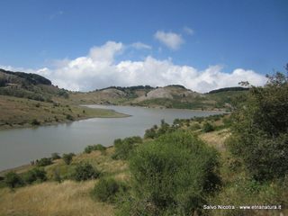 Lago Trearie